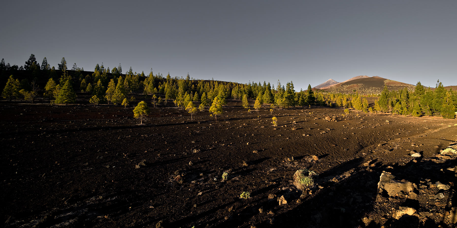 Teide National Park